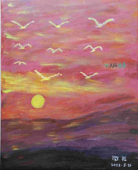 自由翱翔 fly freely